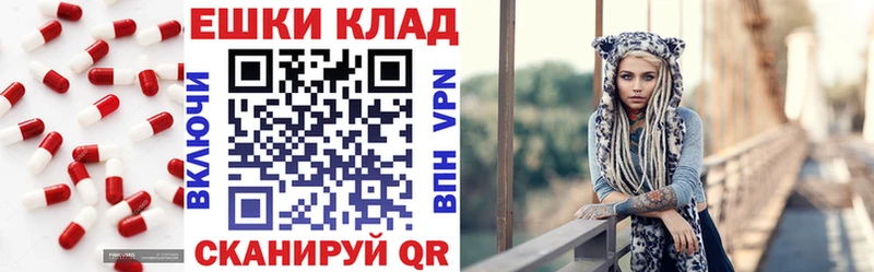 что такое   mega ТОР  Экстази диски  Мончегорск 