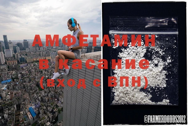 трава Верея