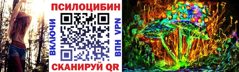 Псилоцибиновые грибы Psilocybine cubensis  Мончегорск 