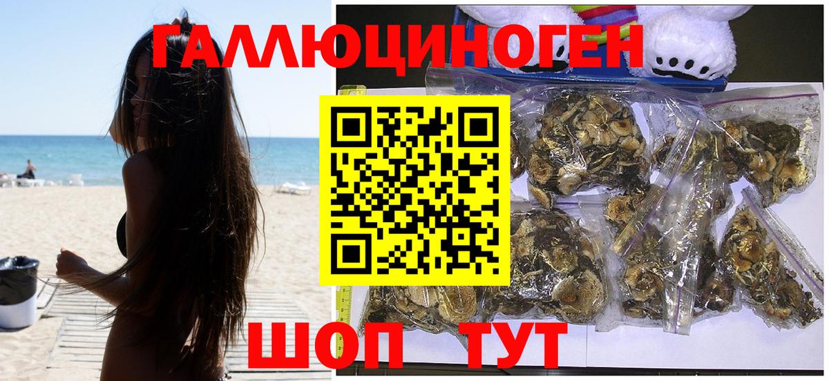 Галлюциногенные грибы прущие грибы  купить   Мончегорск  Вход с VPN  Галлюциногенные грибы GOLDEN TEACHER 